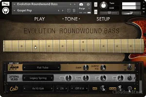 圆弦电贝司音源-Orange Tree Samples Evolution Roundwound Bass v1.2.5 Kontakt