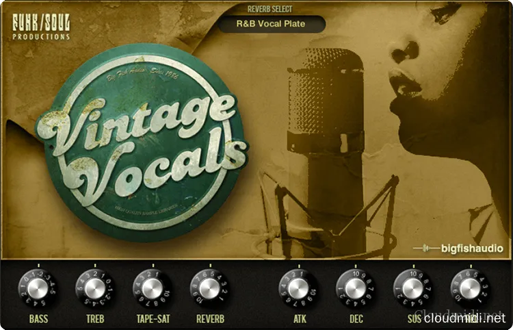 Big Fish Audio Vintage Vocals Kontakt Big Fish Audio Vintage Vocals Kontakt
