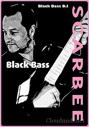 迪斯科黑贝斯-Native Instruments Scarbee Black Bass DI Kontakt