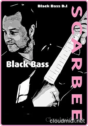 Scarbee Black Bass DI Kontakt | 大小:1.2 GB Scarbee Black Bass DI Kontakt | 大小:1.2 GB