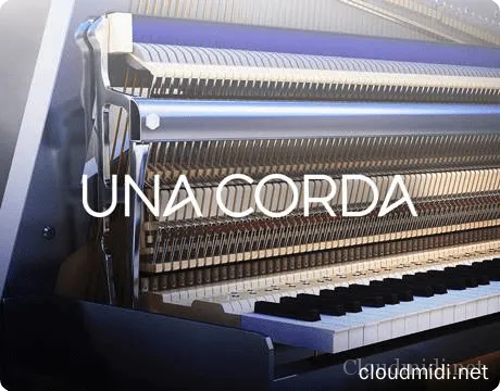 Native Instruments Una Corda Kontakt Native Instruments Una Corda Kontakt