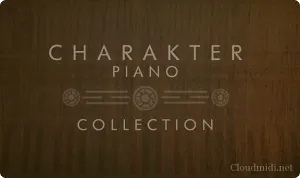 温暖练习钢琴-Cinematique Instruments Charakter Piano Collection