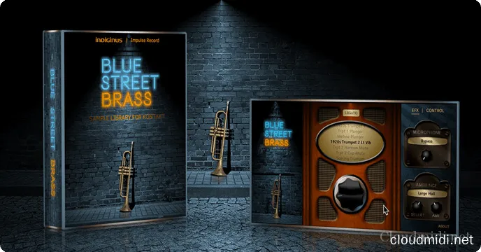 Indiginus Blue Street Brass Kontakt Indiginus Blue Street Brass Kontakt
