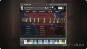 12弦电吉他音源-Orange Tree Samples Evolution Rick 12 v1.2.5 Kontakt