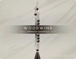 富有表现力的木管音源 Symphony Essentials Woodwind Kontakt