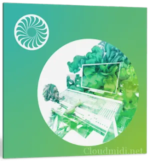 iZotope Insight 2 v2.1.1 WiN-MAC 音频计量分析插件