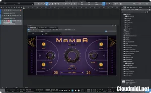 嘻哈综合音源插件-StudioLinked MAMBA 1.0 WiN-MAC 科比纪念款