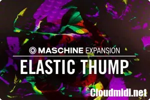 Maschine拓展包-Native Instruments Maschine Expansion Elastic Thump v2.0.1