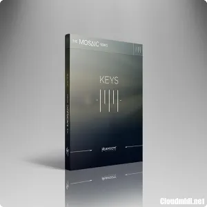 电影配乐键盘合成音源-Heavyocity Mosaic Keys Kontakt