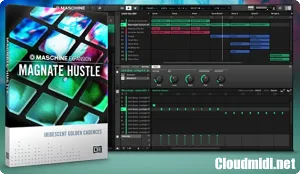 Maschine拓展包-Native Instruments Maschine Expansion Magnate Hustle v2.0.1
