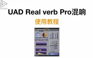 UAD插件使用教程