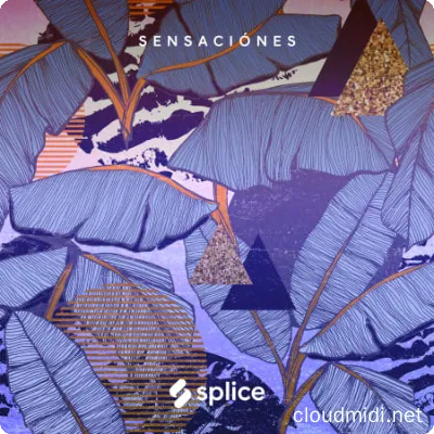 20210613165642316 20210613165642316