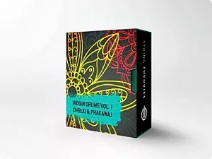 印度打击乐鼓音源-Alex Pfeffer Indian Drums Vol. 1 Dholki & Phakawaj Kontakt