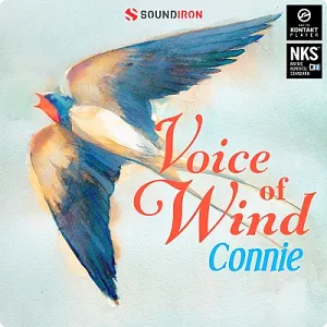 风之声女人声哼唱音源-Soundiron Voice of Wind Connie 1.0 Kontakt
