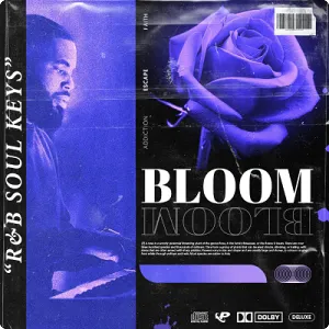 深情鼓舞的灵魂键盘Loops采样-Prime Loops BLOOM: R&B Soul Keys (WAV)