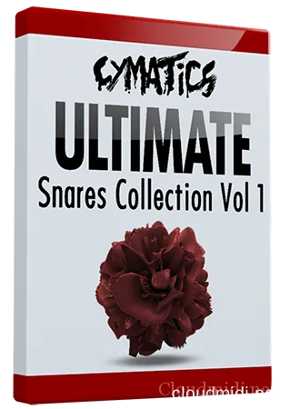 20210909035956526 20210909035956526