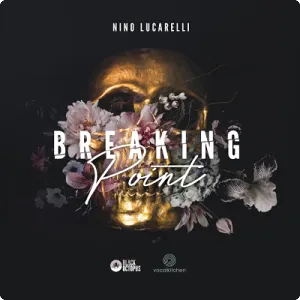 EDM人声采样包-Black Octopus Sound VocalKitchen Nino Lucarelli Breaking Point