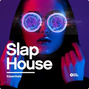 Slap House基础采样预设包-Black Octopus Sound Slap House Essentials