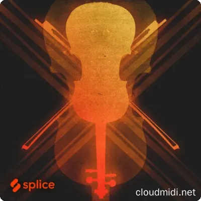 20211216115541821 20211216115541821