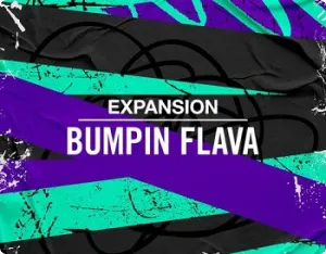Maschine拓展包-Native Instruments Expansion Bumpin Flava v1.0.0