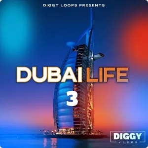 复古风格Soul&RnB采样包-Diggy Loops Dubai Life 3 WAV