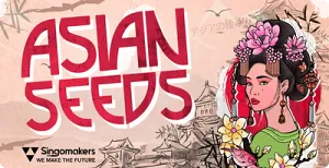 亚洲灵感采样-Singomakers Asian Seeds WAV REX