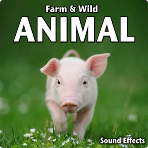 农场&野生动物主题音效包-Sound Ideas Farm & Wild Animal Sound Effects