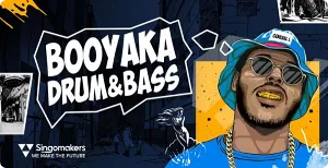 Drum&Bass采样-Singomakers Booyaka Drum and Bass WAV