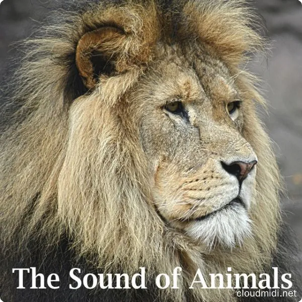 20220426022009164 20220426022009164