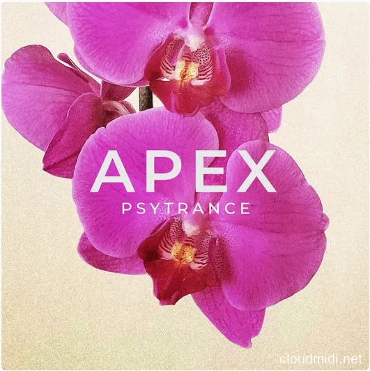 20220430032910828 20220430032910828