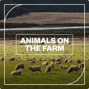 农场动物音效库-Blastwave FX Animals on the Farm WAV