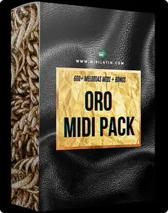 黄金雷鬼说唱MiDi包-Midilatino ORO Reggaeton MiDi Pack