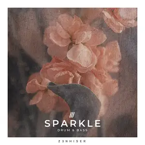 闪耀的Drum & Bass采样-Zenhiser Sparkle Drum & Bass WAV MIDI