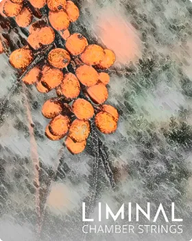 小型室内弦乐音色库-Crocus Soundware LIMINAL Chamber Strings Kontakt