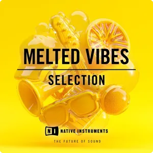 SynthPop/Trap/RnB采样-Native Instruments Melted Vibes WAV