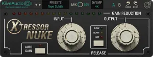 多功能压缩效果器-Kiive Audio Xtressor v1.0.0 FLARE [WIN-MAC]