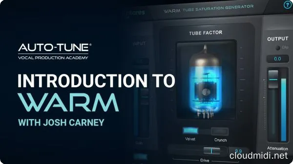 人声电子管饱和器-Antares AVOX Warm v4.4.0 macOS :-1 人声电子管饱和器-Antares AVOX Warm v4.4.0 macOS :-1