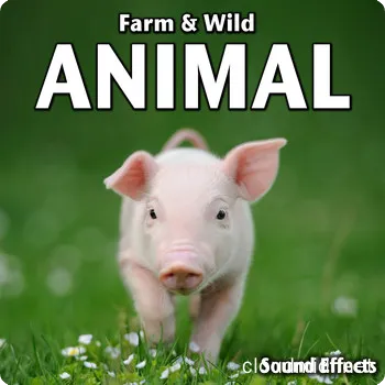 农场&野生动物主题音效包-Sound Ideas Farm & Wild Animal Sound Effects :-1 农场&野生动物主题音效包-Sound Ideas Farm & Wild Animal Sound Effects :-1