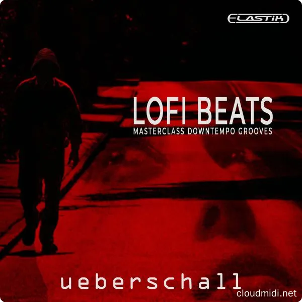 低保真节拍-Ueberschall LoFi Beats Elastik :-1