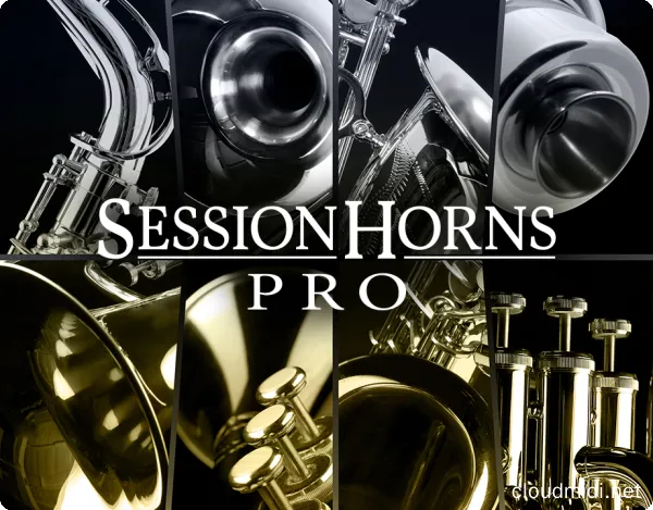 现代铜管乐器升级版 Native Instruments Session Horns Pro 1.4 Kontakt :-1 现代铜管乐器升级版 Native Instruments Session Horns Pro 1.4 Kontakt :-1