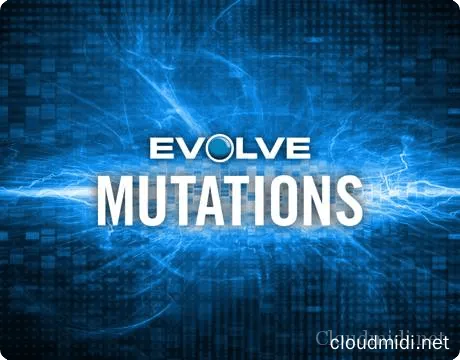 电影节奏及旋律音源 Native Instruments Evolve Mutations Kontakt :-1