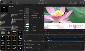 苹果视觉特效和动画软件-Apple Motion v5.8.0 MacOS
