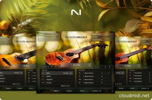 尤克里里音色-Native Instruments Session Ukulele KONTAKT :-1 尤克里里音色-Native Instruments Session Ukulele KONTAKT :-1