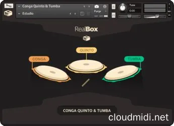 康加鼓音色-Conga Quinto and Tumba v1.0 Kontakt :-1 康加鼓音色-Conga Quinto and Tumba v1.0 Kontakt :-1