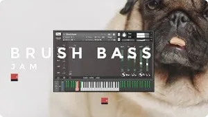 刷槌演奏贝司音色-Wrongtools Brush Bass Kontakt