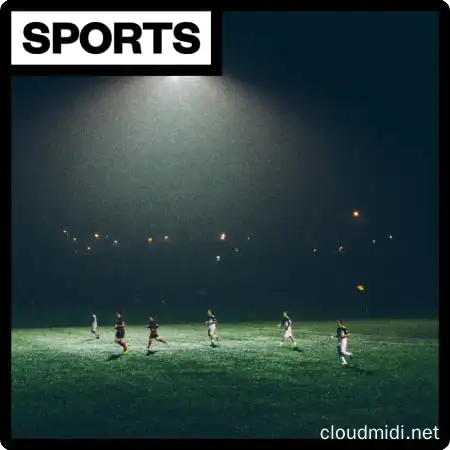 各种运动音效包-Big Room Sound Sports WAV :-1 各种运动音效包-Big Room Sound Sports WAV :-1