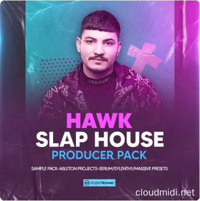 电音采样工程预设包-Studio Tronnic HAWK Slap House Producer Pack :-1 电音采样工程预设包-Studio Tronnic HAWK Slap House Producer Pack :-1