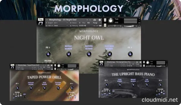 综合混合乐器音色-NEST Acoustics Morphology Kontakt :-1 综合混合乐器音色-NEST Acoustics Morphology Kontakt :-1