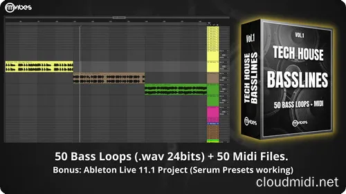 电音采样工程包-RM Vibes Tech House Basslines WAV MIDI ALP :-1 电音采样工程包-RM Vibes Tech House Basslines WAV MIDI ALP :-1