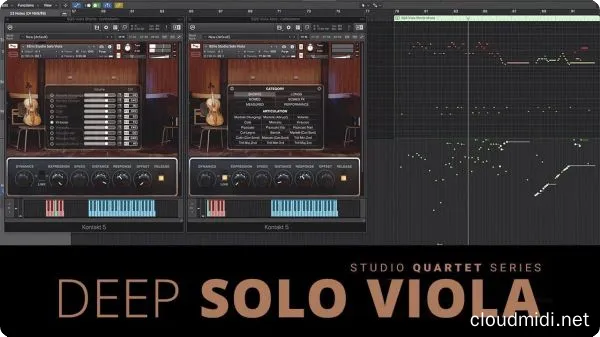 深情独奏中提琴音色-8Dio Studio Quartet Series Deep Solo Viola Kontakt :-1